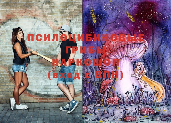 spice Алзамай