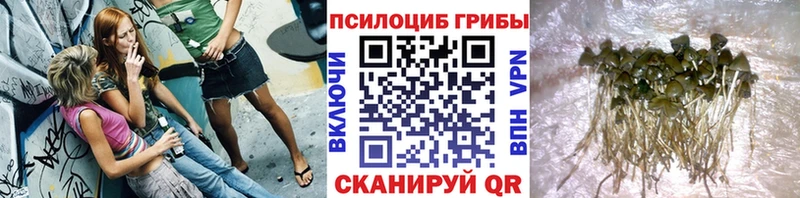 KRAKEN ССЫЛКА  Советская Гавань  Псилоцибиновые грибы ЛСД 